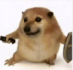 免费看片APP 免费看片APP